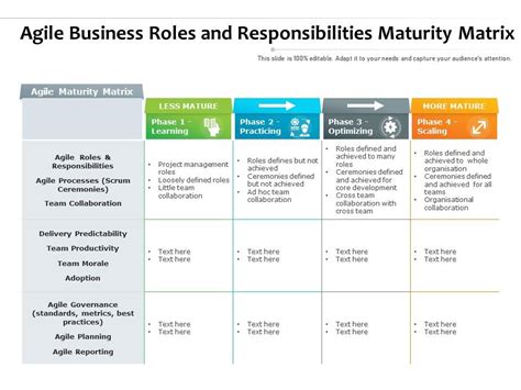 Agile Business Roles And Responsibilities Maturity Matrix ...