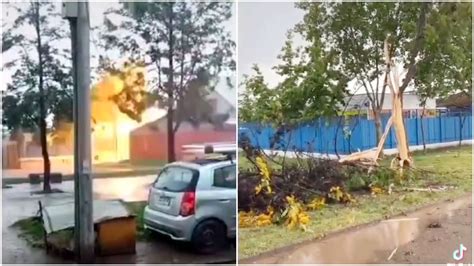 Video muestra momento en que un rayo rompe un árbol en Puente Alto tras