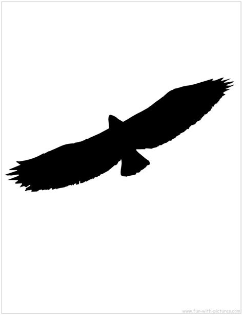 Soaring Eagle Silhouette at GetDrawings | Free download