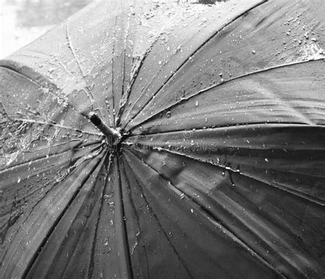 Umbrella stock image. Image of drops, white, close, black - 151457555