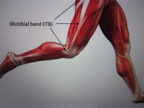 Running Solutions Latest Research On The ITB Iliotibial Band