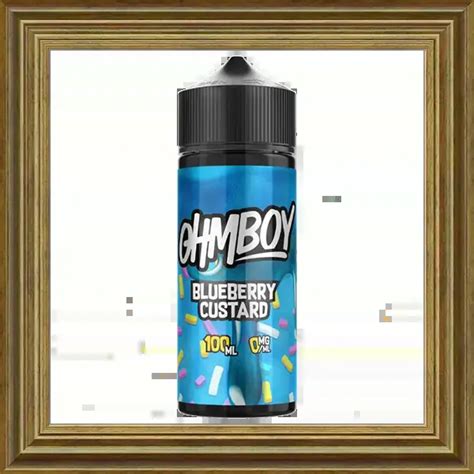 Ohmboy Oc Blueberry Custard 100ml120ml Shortfill Liquid