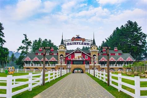 Lokasi Cimory Dairyland Puncak Bogor Alamat Jam Buka Syarat