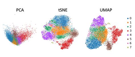 Hands On Filter Plot And Explore Single Cell Rna Seq Data With Scanpy