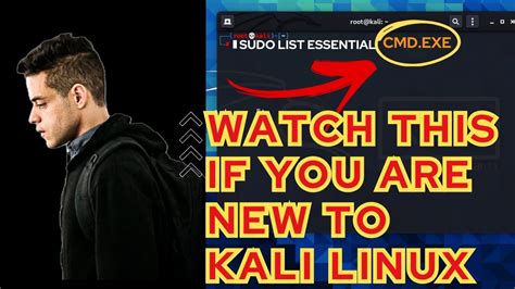 Essential Terminal Commands For Kali Linux Beginners Mastering The