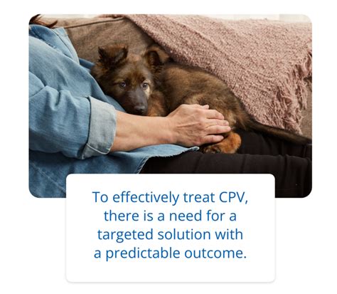 Fight Canine Parvovirus