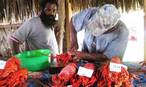 MYSTERY ISLAND | Book Vanuatu Travel | Hotels & Tours | Flights