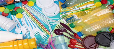 Direttiva Europea Plastica Monouso Quali Sono Le Indicazioni Sulle