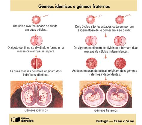 CiÊncias E Biologia