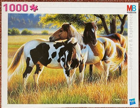 Puzzle 1000 pièces Chevaux Kaufen auf Ricardo