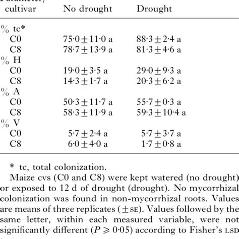 Effect Of Drought On The Percentage Of Root Length Colonized By Hyphae