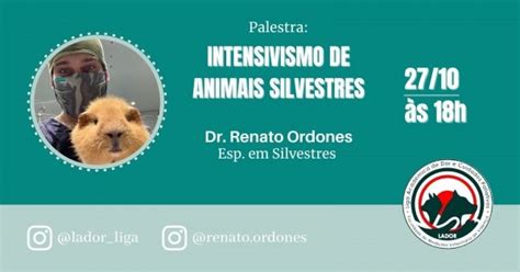 Intensivismo De Animais Silvestres Online Sympla