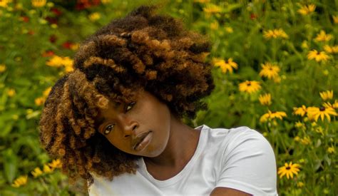 Comment Avoir Des Cheveux Afro Volumineux Les Ateliers Cr Pus