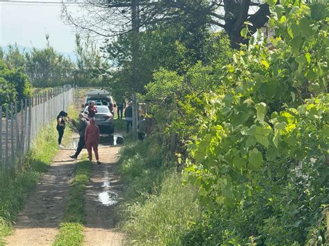 Bimbo Ucciso Da Pitbull Domani L Autopsia Lutto Cittadino A Eboli