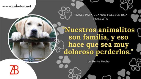 Total 70 Imagen Frases Para Perdida De Una Mascota Abzlocal Mx