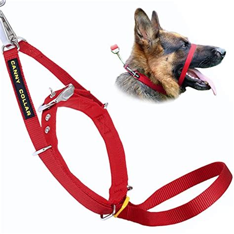 Best Dog Halter To Stop Pulling 2024 Update Almost Home Rescue