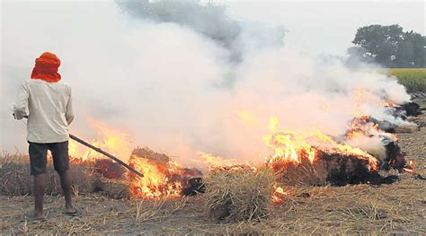 Stubble Burning Punjab Lines Up Farmers To Present Before Ngt In