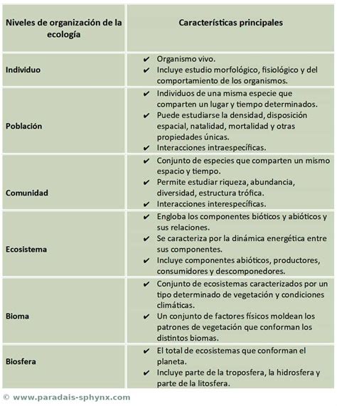 Niveles de organización de la ecología características y ejemplos