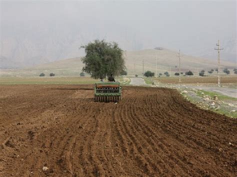 کشت پاییزه گندم و جو در لالی آغاز شد ایرنا