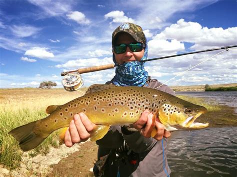 Central Wyoming Fly Fishing - North Platte Lodge