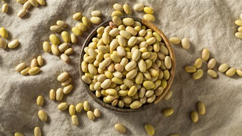 Canary Beans Peruvian Beans Aka Mayocoba Beans Peruano Beans 100