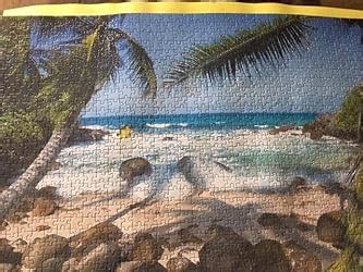 Amazon Ravensburger Seaside Beauty 1000 Piece Jigsaw Puzzle For