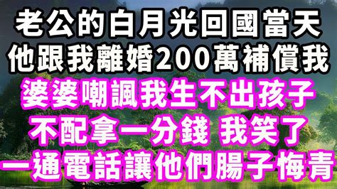 老公的白月光回國當天，他跟我離婚200萬補償我，婆婆嘲諷我生不出孩子不配拿一分錢，我笑了，一通電話讓他們腸子悔青 Youtube