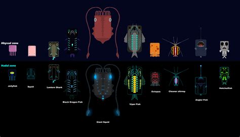 hadalpelagic zone creatures