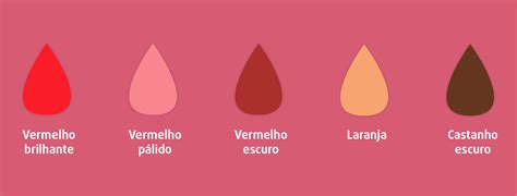 O que diz o sangue menstrual sobre a saúde Enna