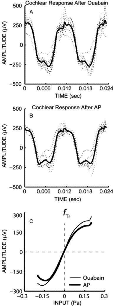 Gerbil Cochlear Responses To 80 DB SPL 85 Hz Tone Bursts Measured With