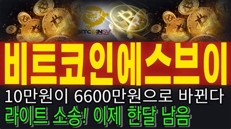 비트코인에스브이 비트코인에스브이 10만원이 비트코인 6600만원으로 바뀌는 결정 1달 남았습니다 무조건 홀딩하세요