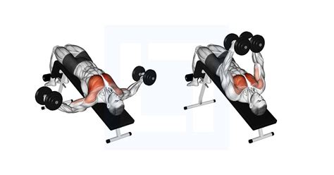 Dumbbell Decline Fly - Guide, Benefits, and Form