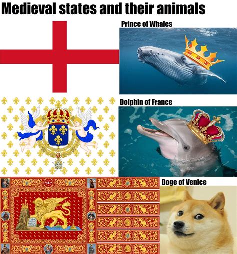 Animal kingdom : r/HistoryMemes