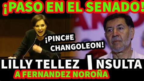 PASO EN EL SENADO LILLY TELLEZ I N S U L T A AL DIPUTADO FERNANDEZ