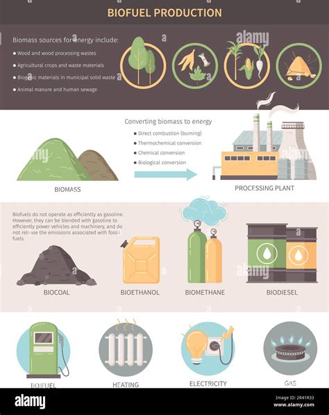 Biofuel Production Infographics Layout Illustrating Biomass Sources And