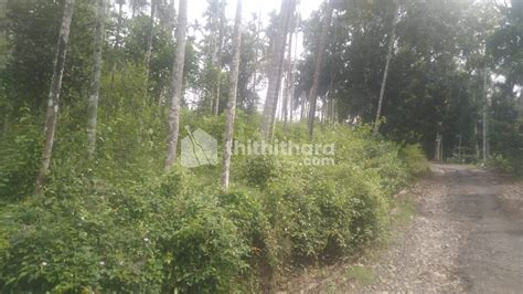 Land for sale at Kalpetta Wayanad