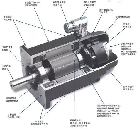 伺服电机内部结构及其工作原理电动机