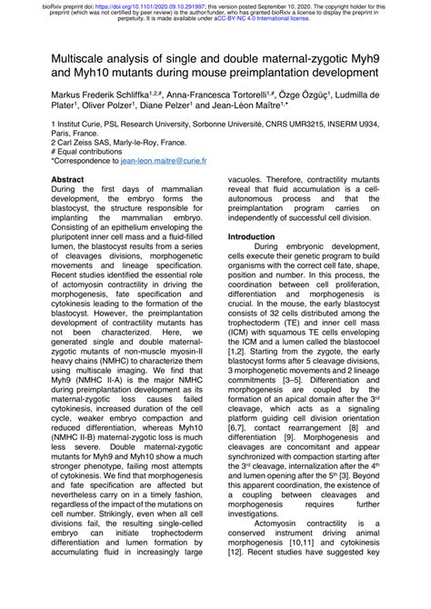 Pdf Multiscale Analysis Of Single And Double Maternal Zygotic Myh