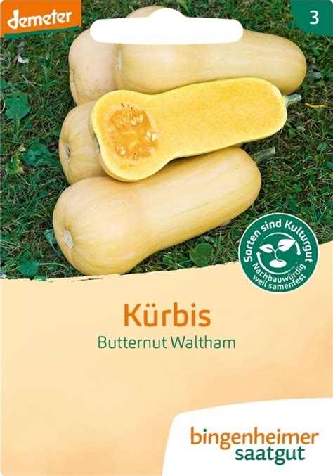 Bingenheimer Saatgut K Rbis Butternut Waltham Packung Bloomling