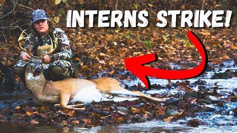 BIG BUCK DOWN For The INTERNS West Virginia Public Land YouTube