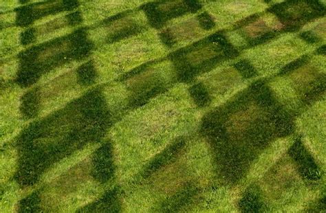 Explain Lawn Mowing Patterns Techniques - Fend Home