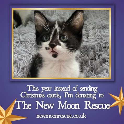 Christmas Card Donation – The New Moon Rescue – TNR