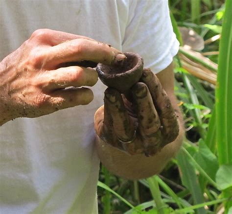 Archives — Shawn Ireland Pottery