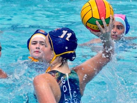 Water Polo Water Polo Live Stream The Chronicle