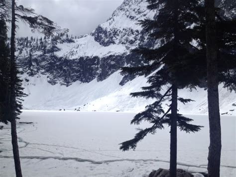 To top of Mt Rainier: Lake Serene hike - 4/19