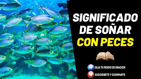 Significado de soñar con peces comprendiendo los sueños según Dios