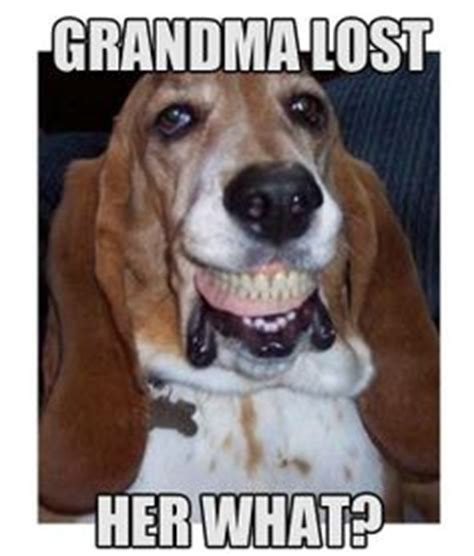 29 Funny dentures ideas | dentures, dental humor, funny