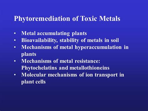 Phytoremediation Of Toxic Metals Metal Accumulating Plants