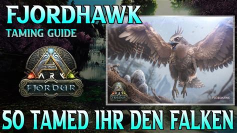 Fjordur Fjordhawk Taming Guide So Z Hmt Ihr Den Falken Ark