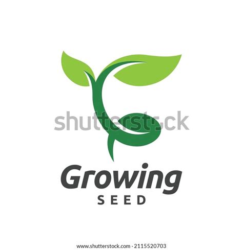 Growing Seed Logo Design Illustration Stock Vector Royalty Free